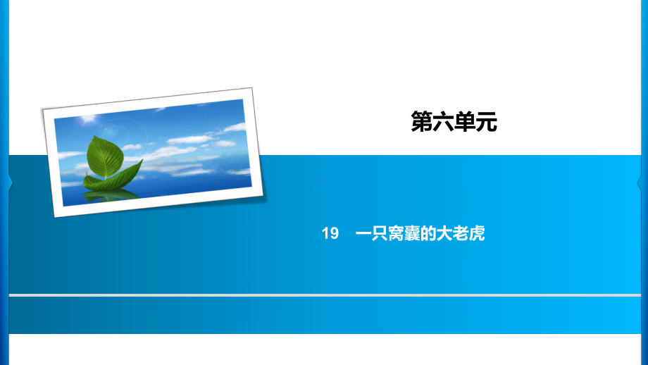 四年级上册语文习题课件-第6单元 19%E3%80%80一只窝囊的大老虎 人教部编版(共13张PPT).ppt_第1页