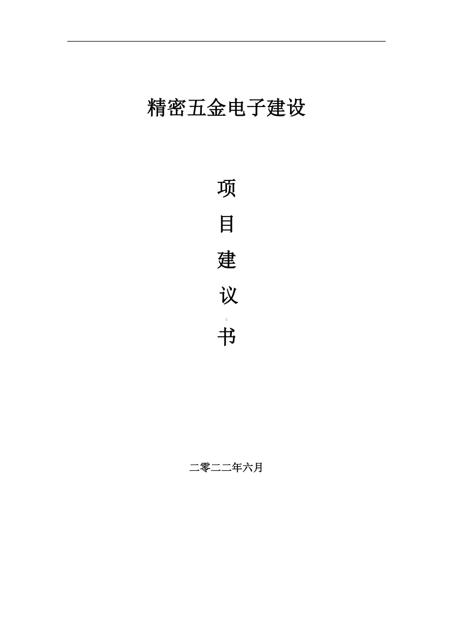 精密五金电子项目建议书（写作模板）.doc_第1页