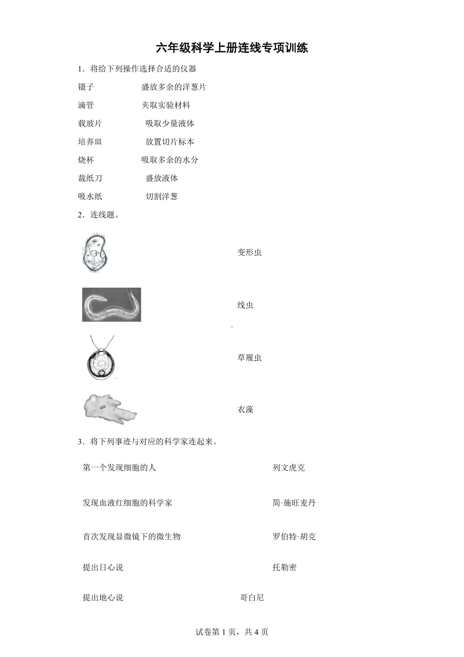 2022新教科版六年级上册《科学》连线专项训练（含答案）.docx_第1页