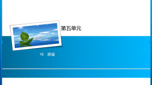 四年级上册语文习题课件-第5单元 16%E3%80%80麻雀 人教部编版(共14张PPT).ppt