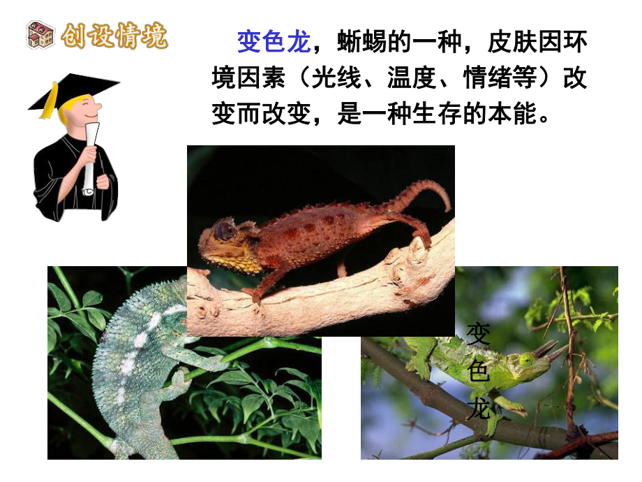 6.变色龙教学课件.ppt_第1页