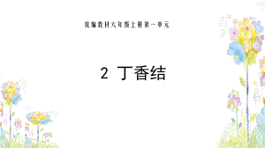 2.丁香结教学课件.pptx