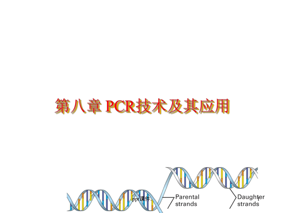 PCR技术及其应用ppt课件.ppt_第1页