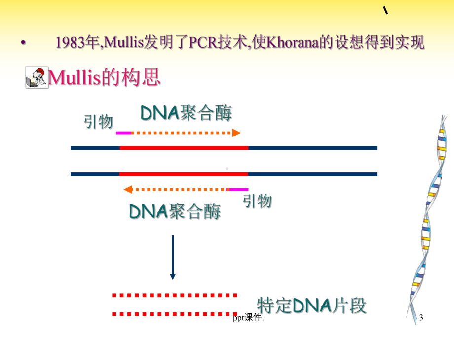 PCR技术及其应用ppt课件.ppt_第3页