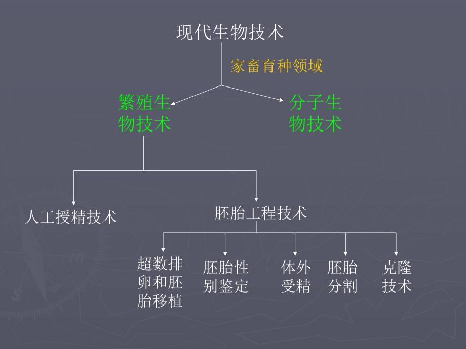 第五章-动物胚胎移植技术及体外受精-PPT课件.ppt_第2页