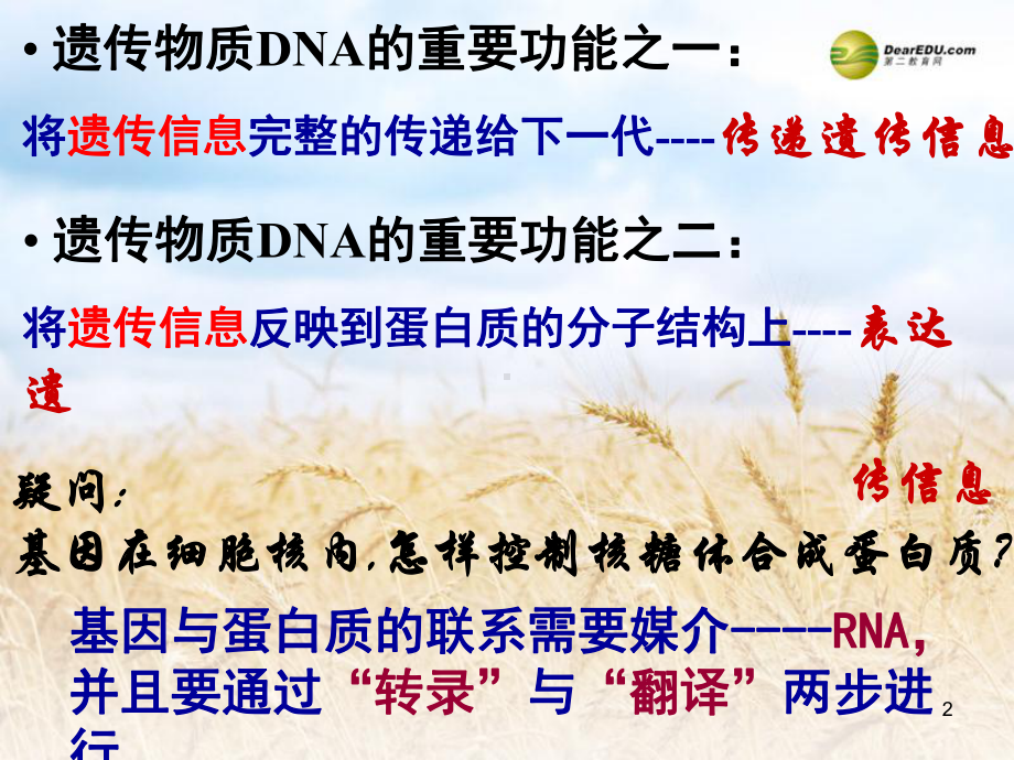 浙江省瓯海区三溪中学高中生物《3.4 遗传信息的表达 RNA和蛋白质的合成》课件 浙科版.ppt_第2页