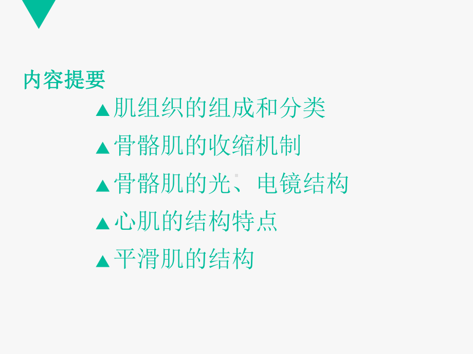 肌组织-ppt课件详解.ppt_第2页