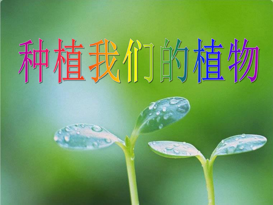 《种植我们的植物》植物的生长变化PPT课件.ppt_第1页