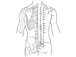 人体经络穴位图解大全课件.pptx