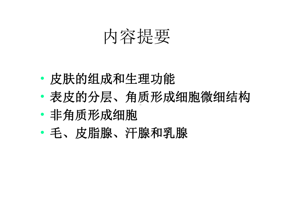 第九章皮肤 动物组织胚胎学课件.ppt_第2页