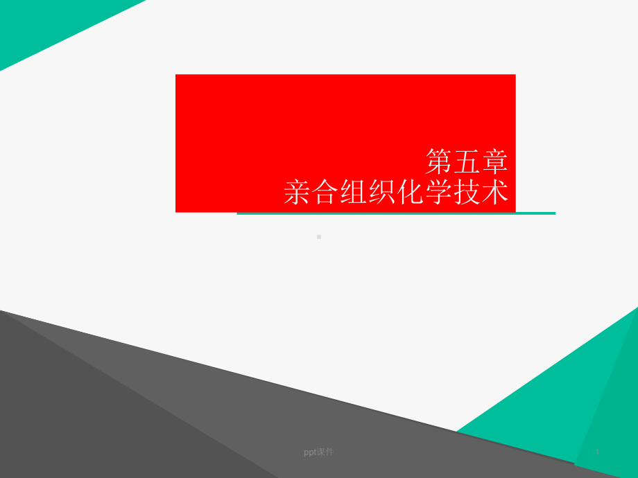 亲合组织化学技术-ppt课件.ppt_第1页