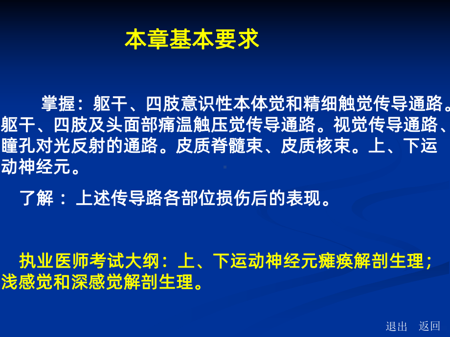 神经传导通路PPT课件.ppt_第2页