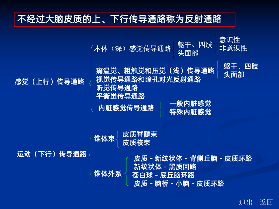 神经传导通路PPT课件.ppt_第3页