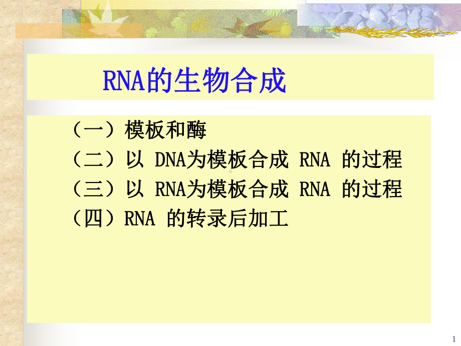 生物竞赛课件：RNA的生物合成.ppt_第1页