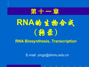 生物化学课件RNA的生物合成.ppt