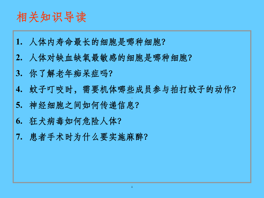 神经组织ppt课件.ppt_第3页