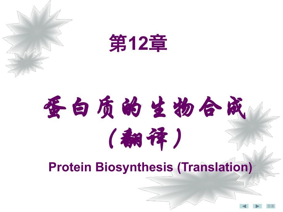 第七版生化课件-第十二章 蛋白质生物合成.ppt_第1页