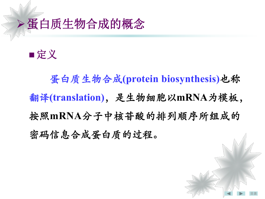 第七版生化课件-第十二章 蛋白质生物合成.ppt_第3页