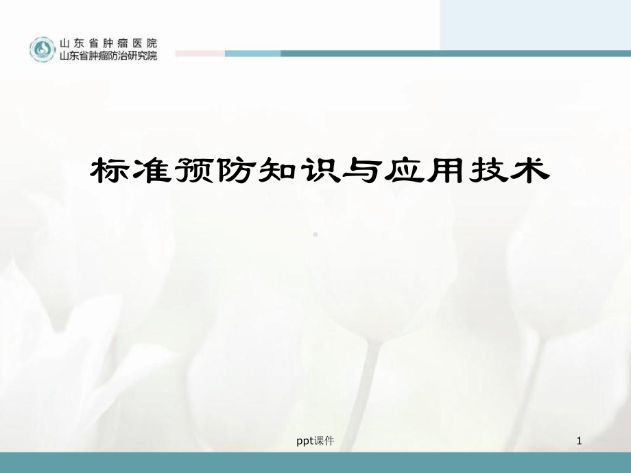 标准预防知识与应用技术-ppt课件.ppt_第1页