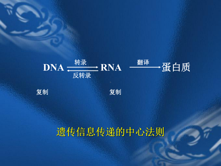 生物化学课件第十二章 DNA的生物合成.ppt_第1页