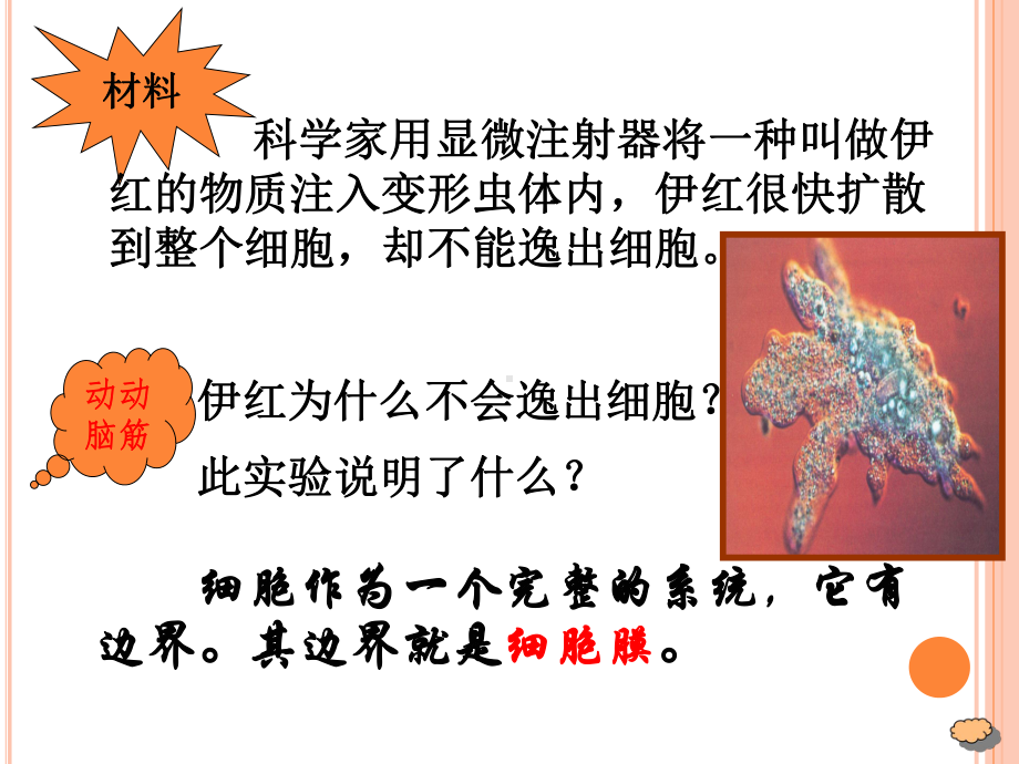 细胞膜—系统的边界优质课件PPT.ppt_第2页