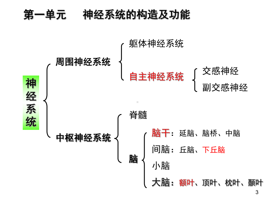 心理活动的生理基础ppt课件.ppt_第3页