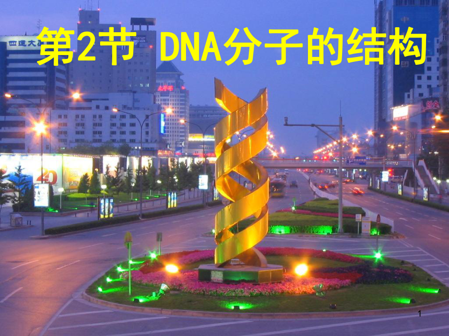 DNA分子的结构计算全部ppt课件.ppt_第1页