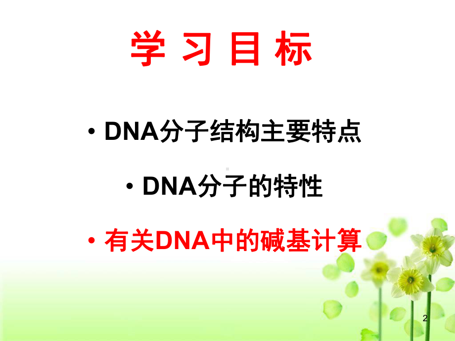 DNA分子的结构计算全部ppt课件.ppt_第2页