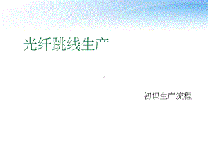 光纤跳线生产流程-ppt课件.ppt