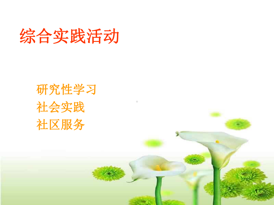 研究性学习PPT课件.ppt_第1页