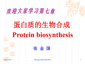 生物化学7第七章 蛋白质的生物合成 ppt课件.ppt