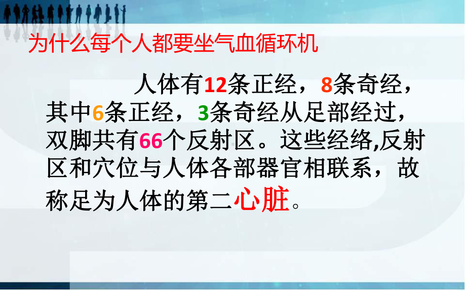 气血循环机讲解PPT培训课件.ppt_第2页