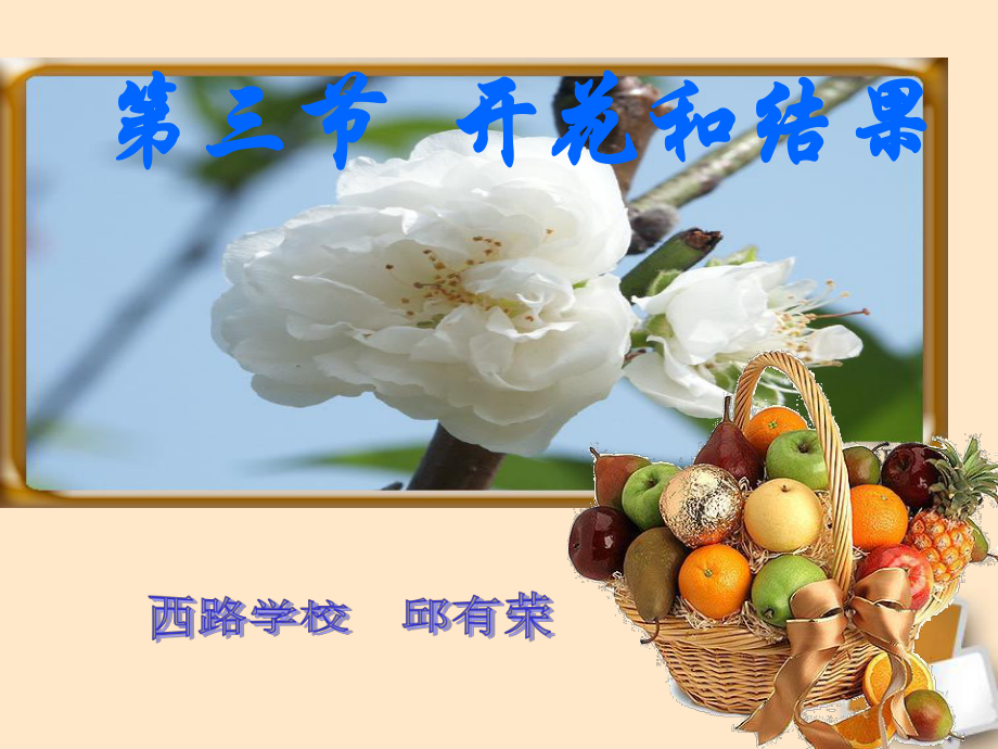 《开花与结果》课件.ppt_第1页