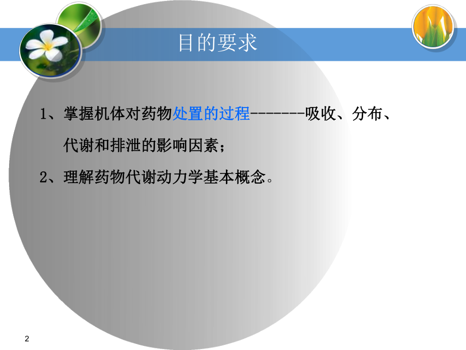 《药理学》药物代谢动力学ppt课件.ppt_第2页