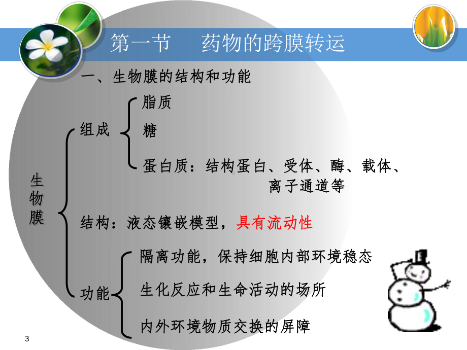 《药理学》药物代谢动力学ppt课件.ppt_第3页