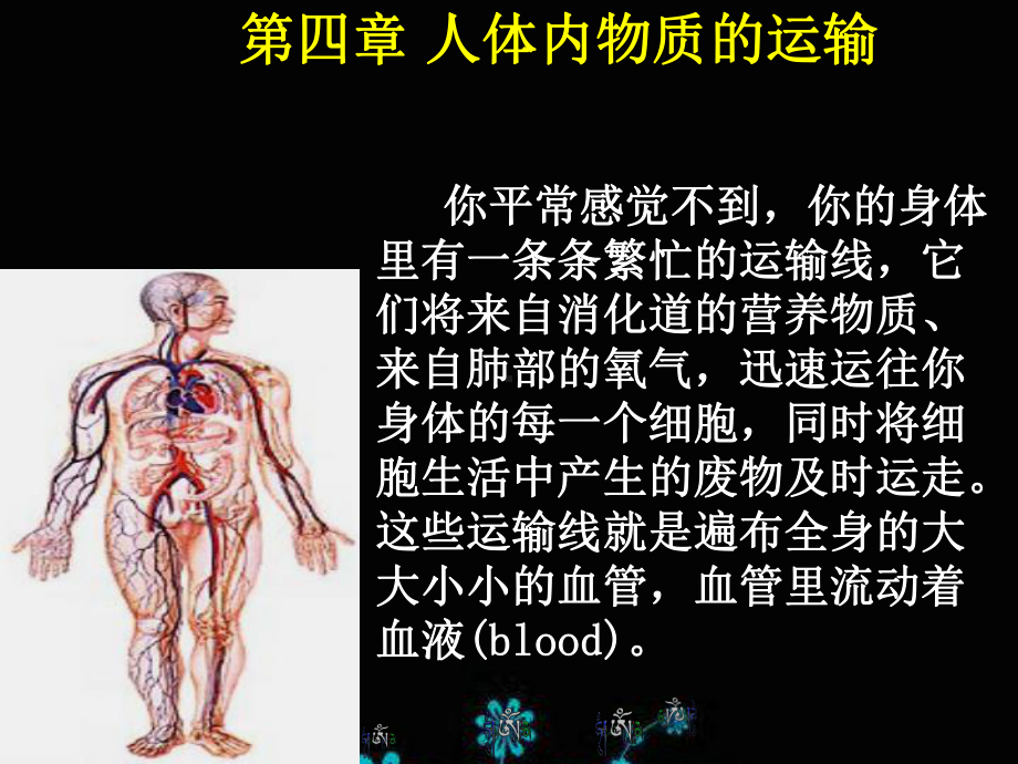 流动的组织-血液课件.ppt.ppt_第2页