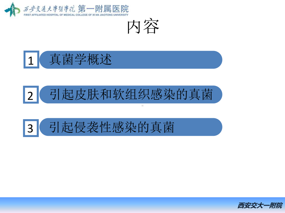 真菌基础及常见真菌的鉴定PPT课件.pptx_第2页