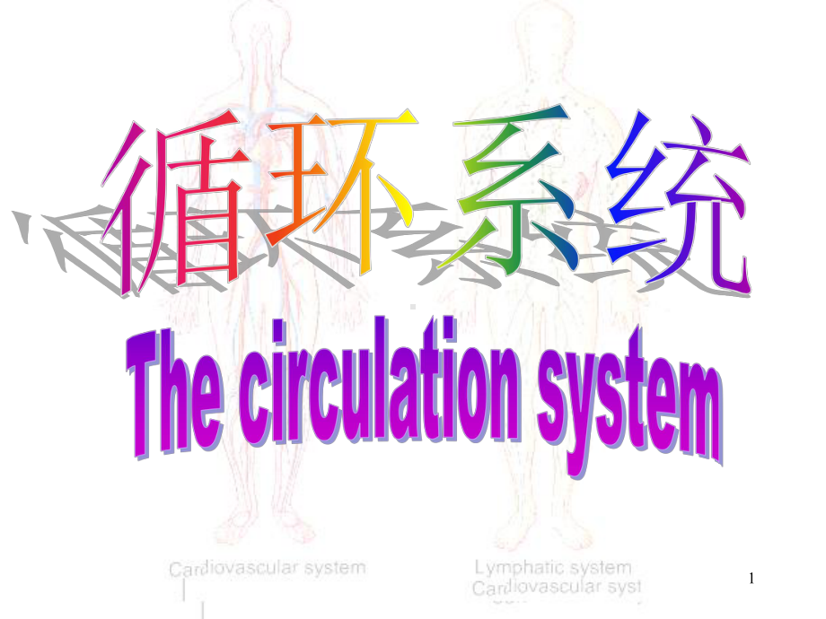 人体解剖学循环系统ppt课件.ppt_第1页