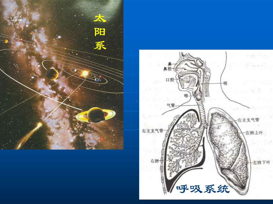 系统与设计-课件.ppt_第3页