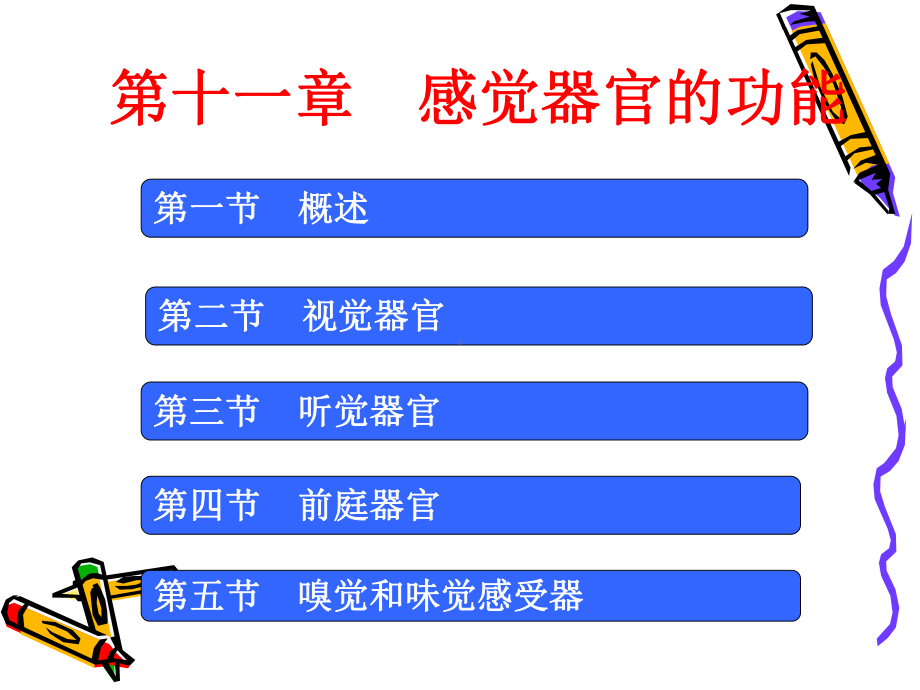 生理学感觉器官PPT课件.ppt_第1页