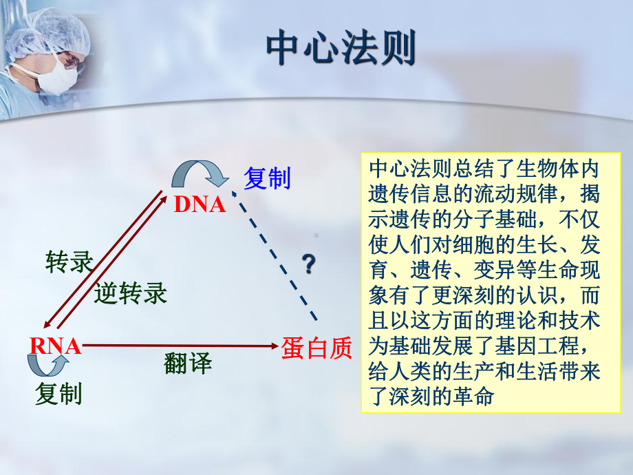 生物化学课件37-38 蛋白质的生物合成.ppt_第2页