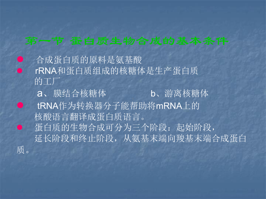 生物化学课件14第十四章 蛋白质的生物合成.ppt_第2页