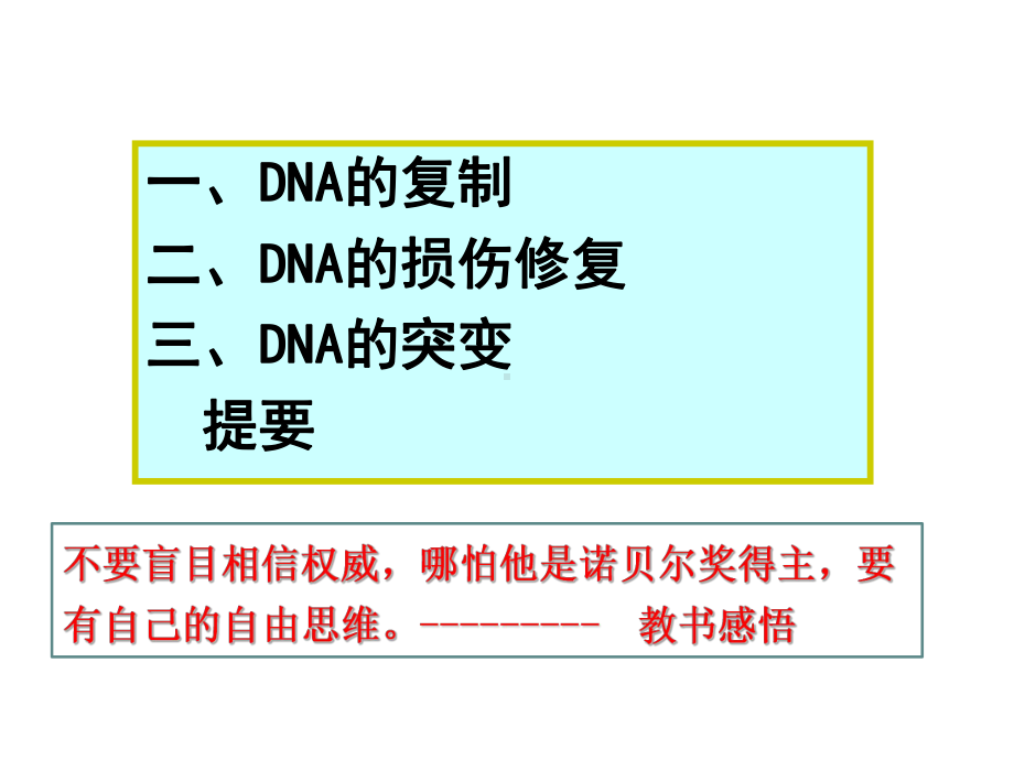 王镜岩生化第三版考研课件 DNA的生物合成.ppt_第3页