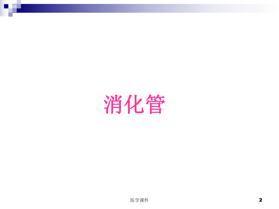 组织学与胚胎学切片图 ppt课件.ppt_第2页