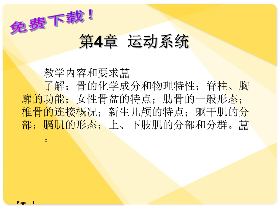 解剖学基础运动系统ppt课件.ppt_第1页