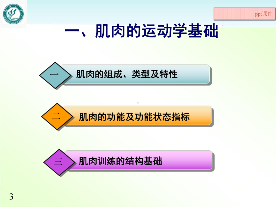 人体运动学-肌肉运动学-ppt课件.ppt_第3页