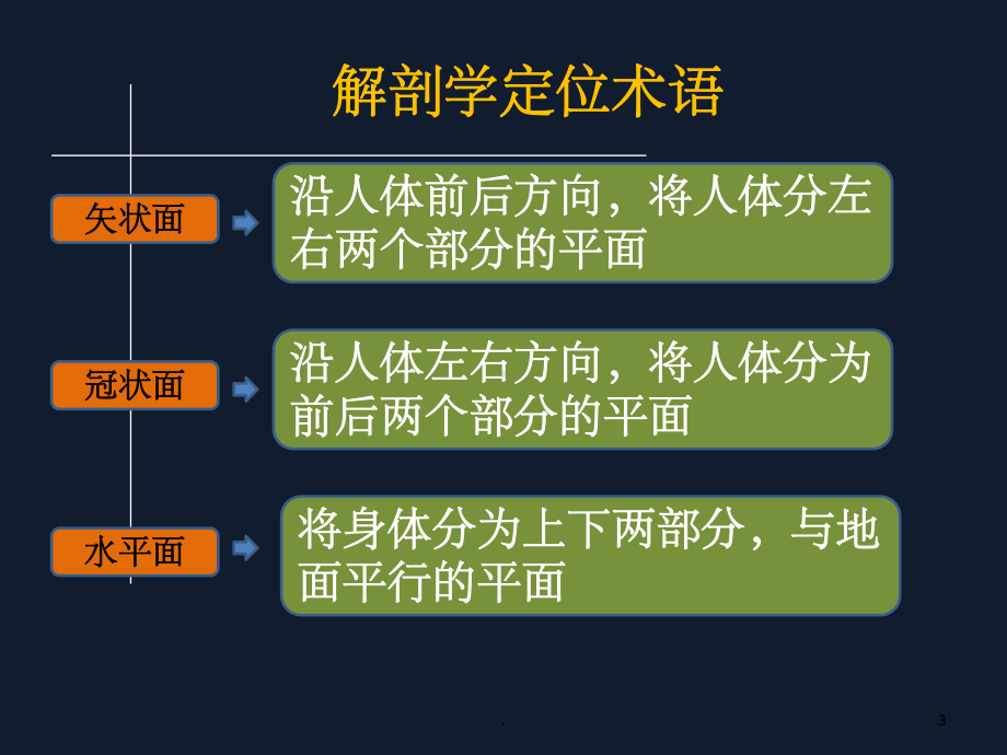 脊椎的解剖PPT课件.ppt_第3页