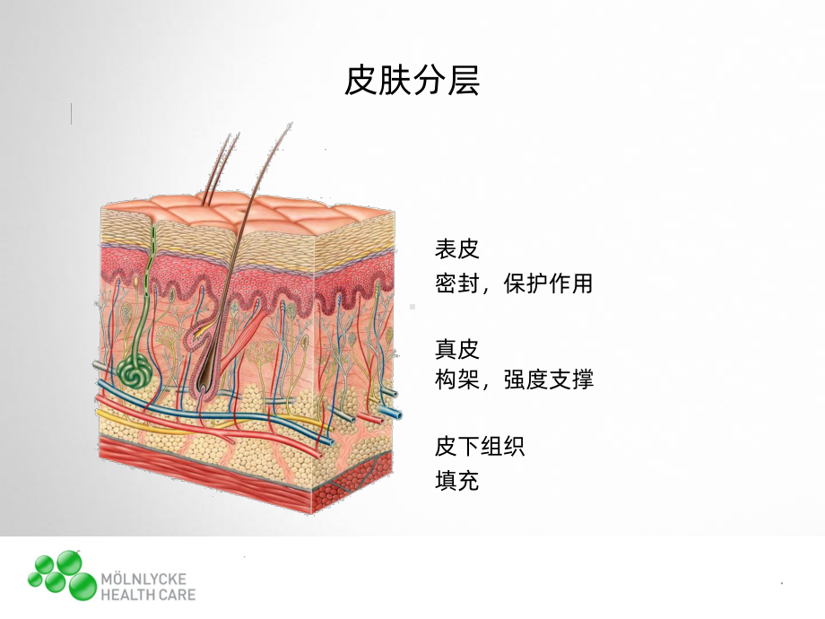 伤口基础理论之处理原则PPT课件.pptx_第3页