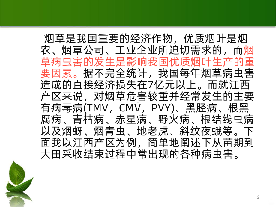 烟草病虫害鉴定及防治PPT课件.ppt_第2页