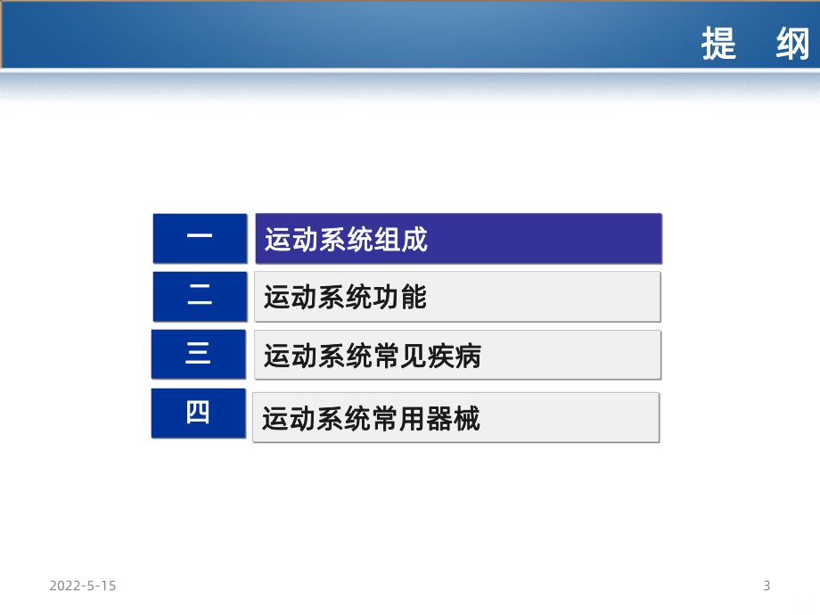 《运动系统》PPT课件.ppt_第3页